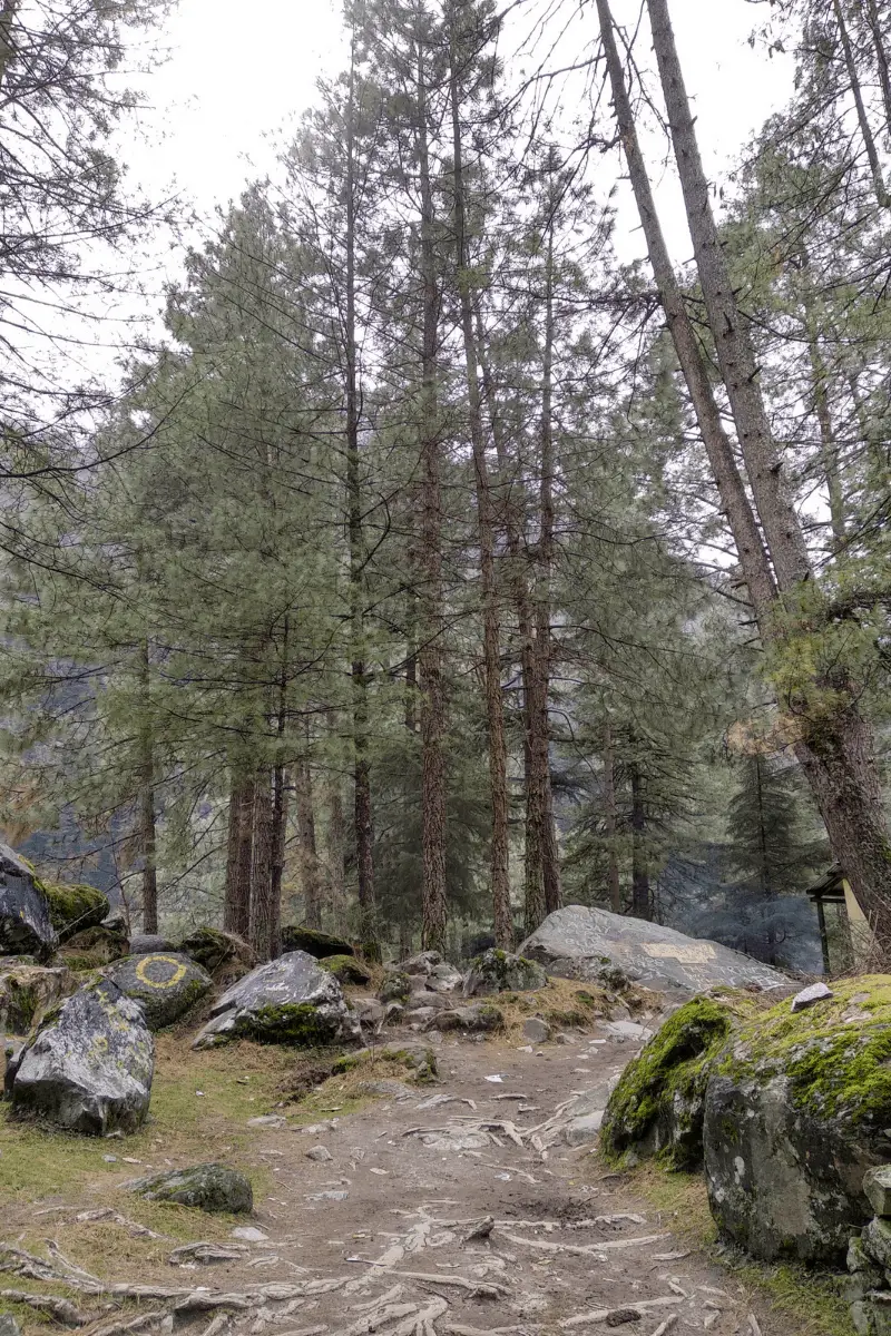 Things to do in Kasol
