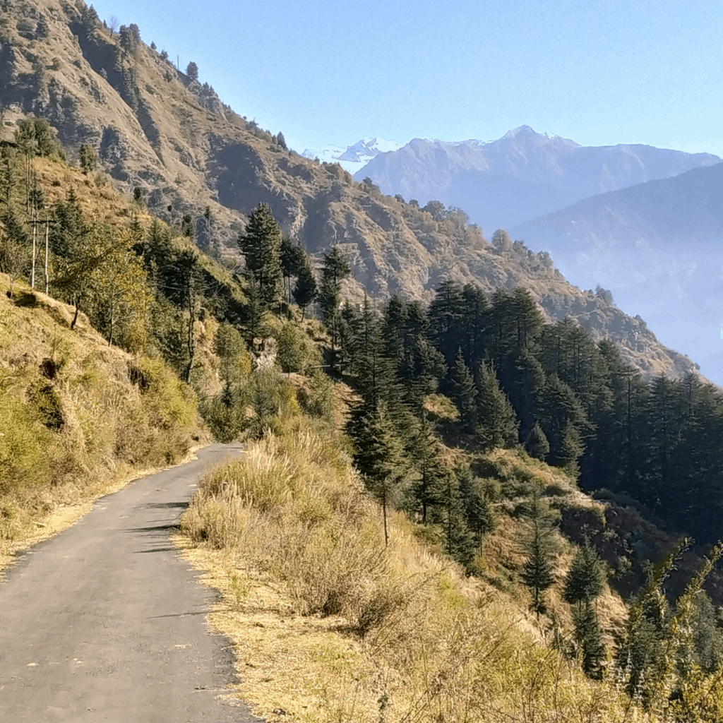 Fojal valley hike