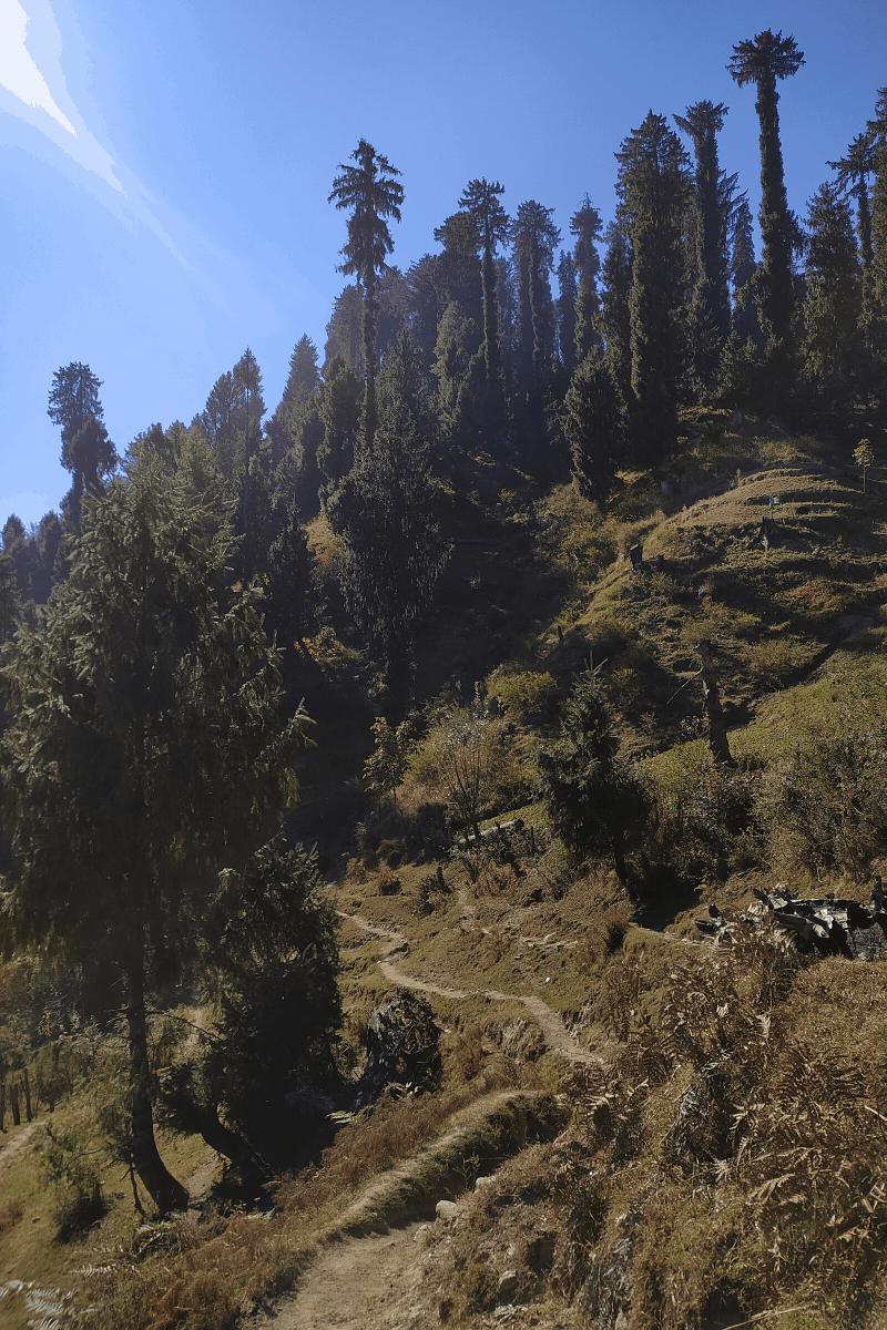 how to reach fojal valley