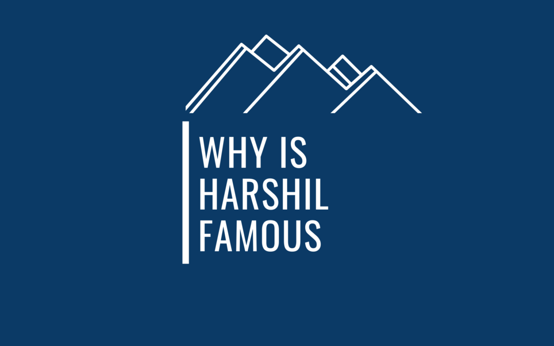 7 Significant Reasons Why Harshil Is Popular Amongst Travelers !