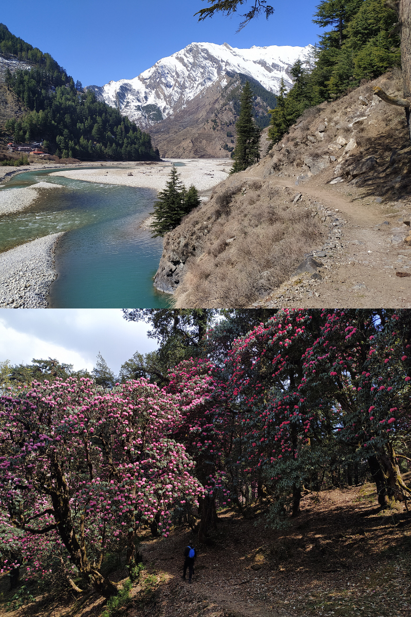 Harsil valley versus chopta valley