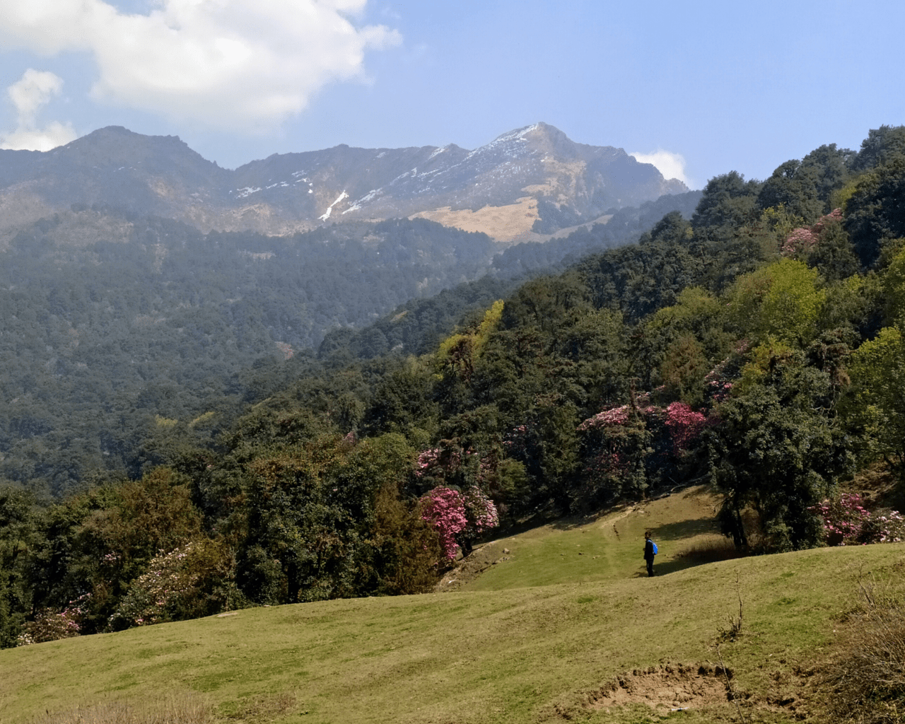 How to plan a trip to Chopta