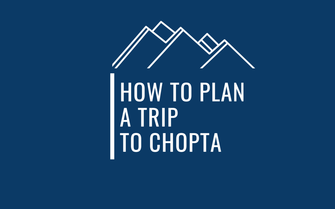 A Super Useful Guide To Experience The Grandeur Of Chopta As A Traveler !